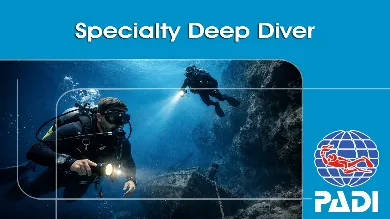 Deep Diver