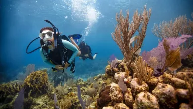 PADI Open Water Diver Kurs in Hurghada