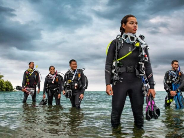 Gruppe brevetierter Taucher in voller Ausrüstung im Wasser