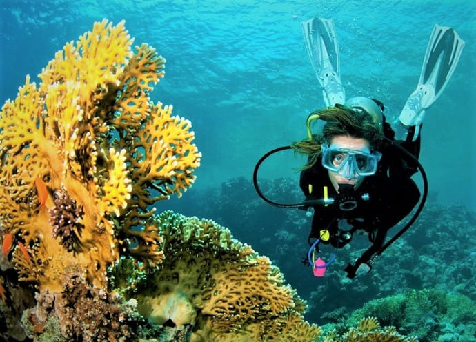 Tauchszene am Roten Meer bei Hurghada